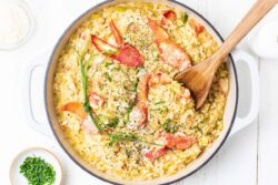 Hummer-Risotto